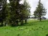 p5271838_small.jpg