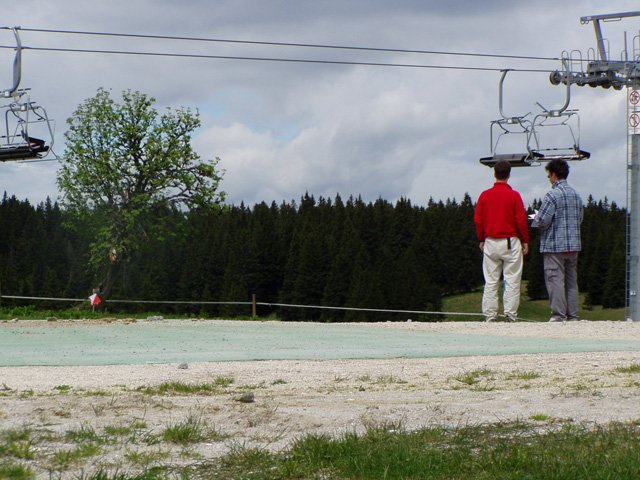 p5271850.jpg