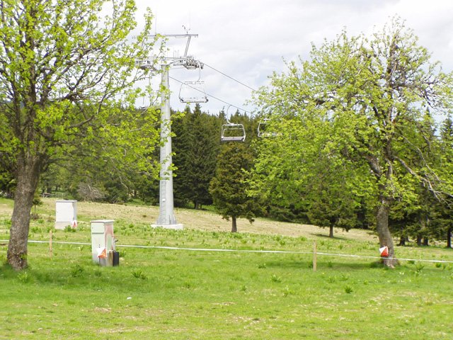 p5271853.jpg