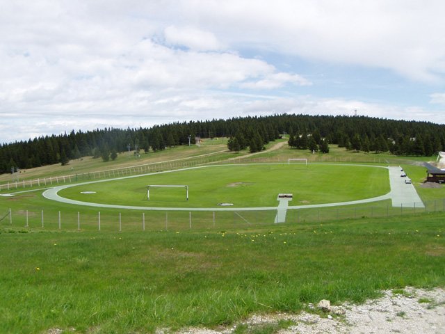 p5271855.jpg