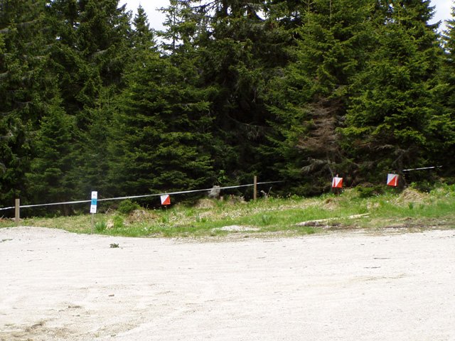 p5271864.jpg