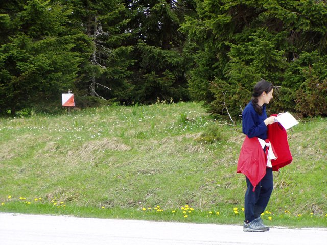 p5271873.jpg