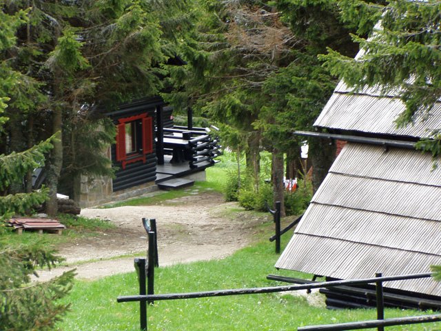 p5271878.jpg