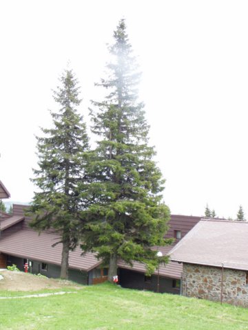 p5271882.jpg