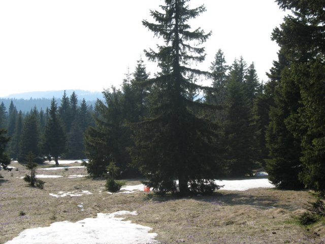 img_0284.jpg